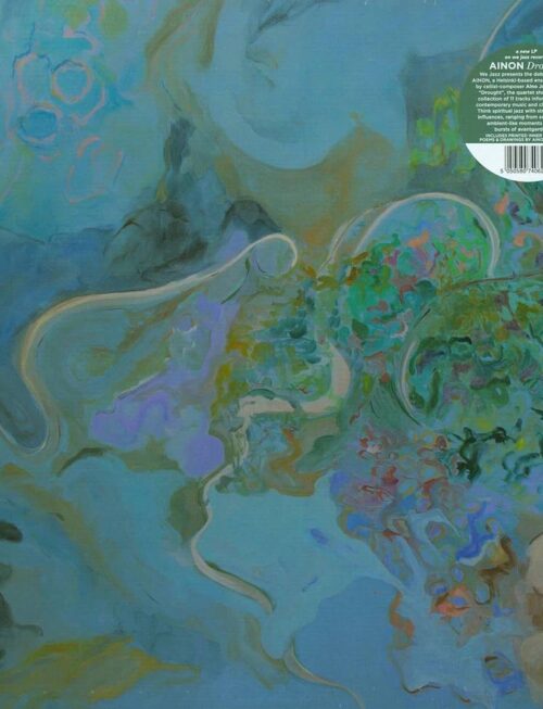 AINON - Drought Vinyl Record