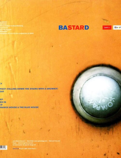 COLIN NEWMAN - BASTARD Vinyl Record