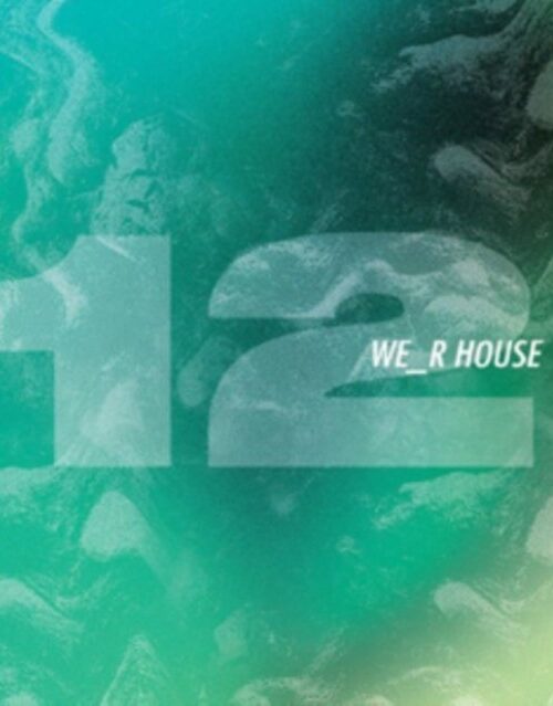 BMW - We_R House 12 Vinyl Record