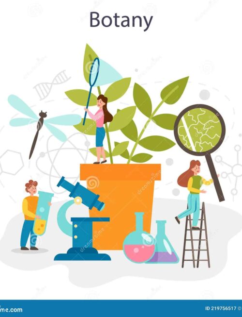 BOTANY - END THE SUMMERTIME F(OR)EVER Vinyl Record