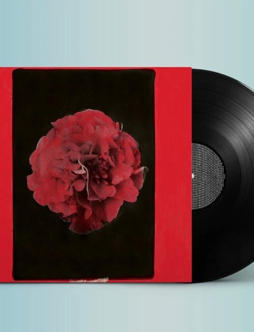 ACTIVITY - A THOUSAND YEARS IN ANOTHER WAY Vinyl Record