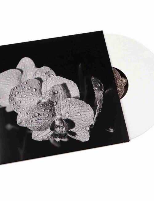 ASSORTED ORCHIDS - Assorted Orchids Vinyl Record