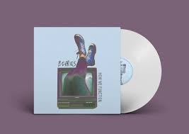 BERRIES - HOW WE FUNCTION Vinyl Record