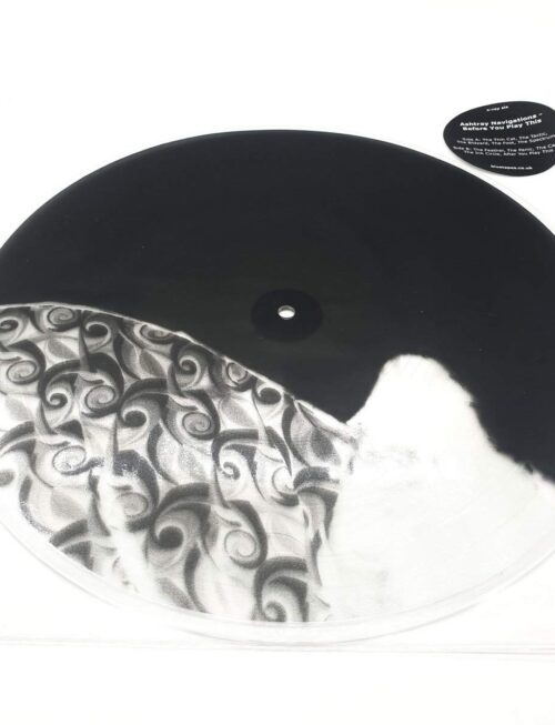 ASHTRAY NAVIGATIONS - BEFORE YOU PLAY THIS Vinyl Record
