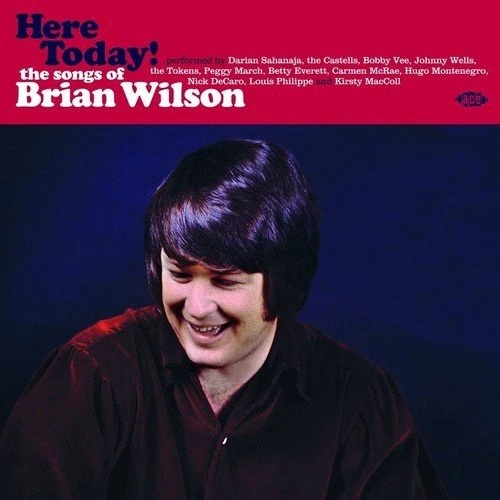 Various - Here Today! The Songs Of Brian Wilson Vinyl Record
