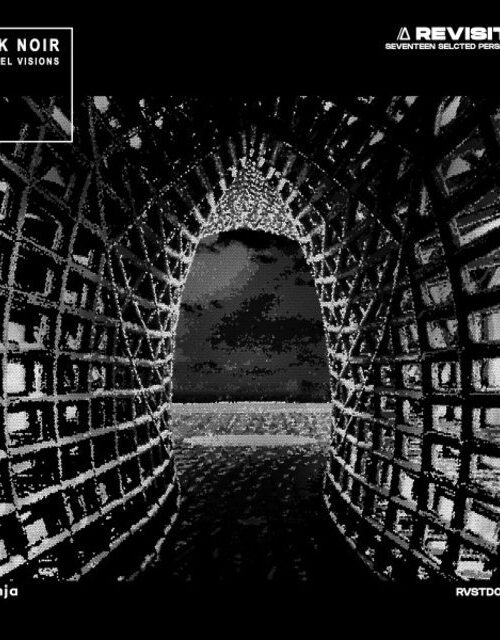 ARK NOIR - TUNNEL VISIONS Vinyl Record