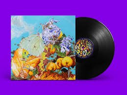 BENNETT WILSON POOLE - I SAW A STAR BEHIND YOUR EYES Vinyl Record