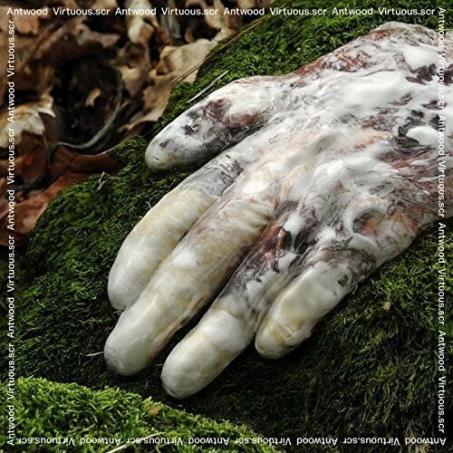 ANTWOOD - VIRTUOUS.SCR Vinyl Record