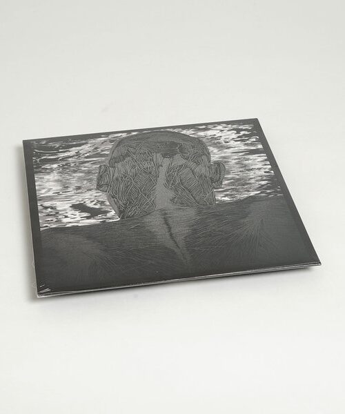 ASHER LEVITAS - LIT HARNESS Vinyl Record